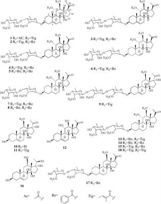 Discovery of Polyoxypregnane Derivatives From Aspidopterys obcordata With Their Potential Antitumor Activity